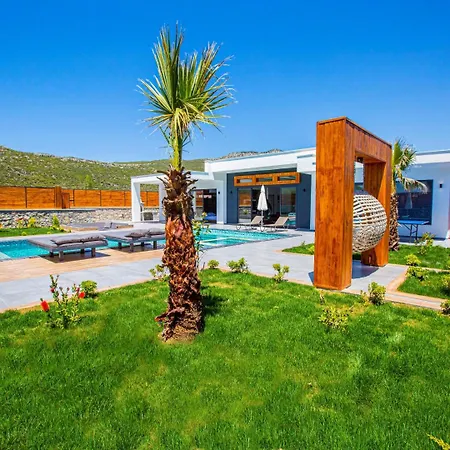 فندق Bahamas كاس